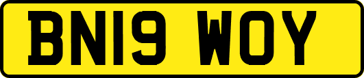 BN19WOY