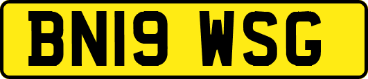 BN19WSG