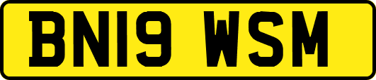 BN19WSM