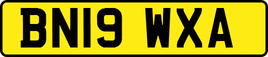 BN19WXA