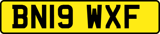 BN19WXF