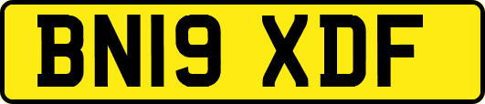 BN19XDF