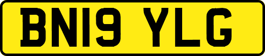 BN19YLG