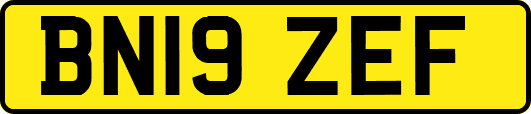 BN19ZEF