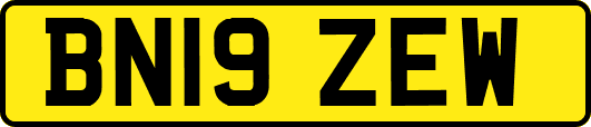 BN19ZEW