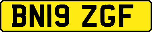 BN19ZGF