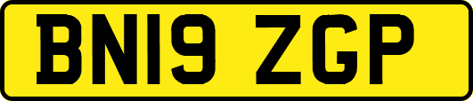 BN19ZGP