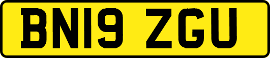 BN19ZGU