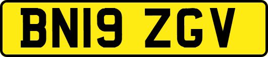 BN19ZGV