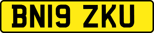 BN19ZKU