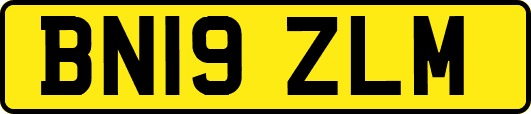 BN19ZLM