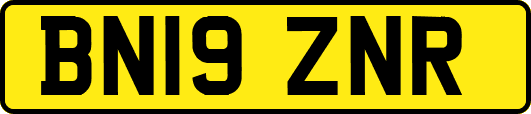 BN19ZNR