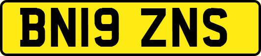 BN19ZNS