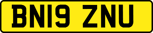 BN19ZNU