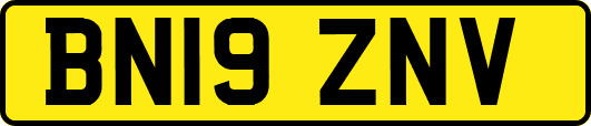 BN19ZNV