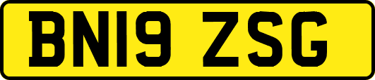 BN19ZSG