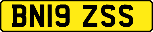 BN19ZSS