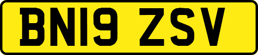 BN19ZSV