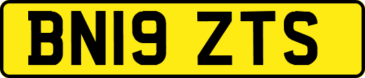 BN19ZTS