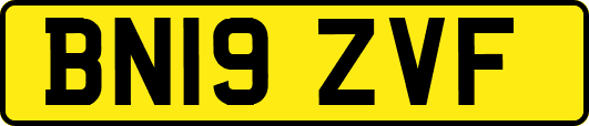 BN19ZVF