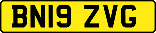 BN19ZVG