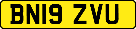 BN19ZVU