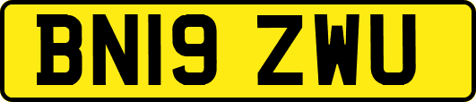 BN19ZWU