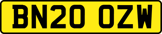 BN20OZW