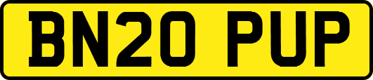 BN20PUP