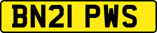 BN21PWS