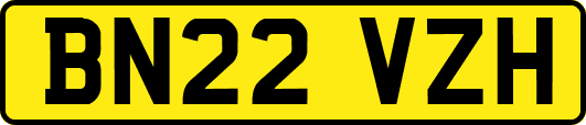 BN22VZH