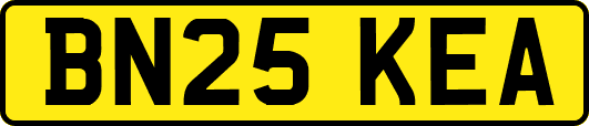 BN25KEA