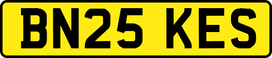 BN25KES