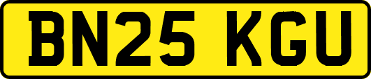 BN25KGU