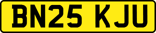 BN25KJU