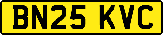 BN25KVC