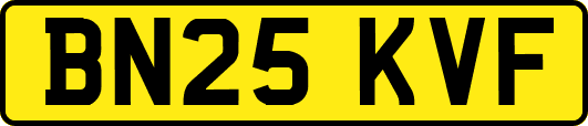 BN25KVF