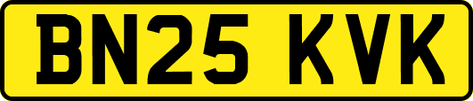 BN25KVK