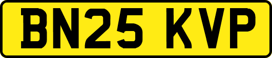 BN25KVP