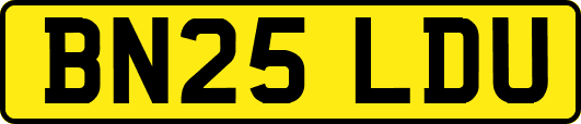 BN25LDU