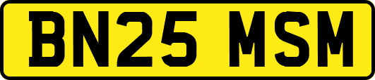 BN25MSM