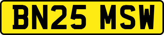 BN25MSW