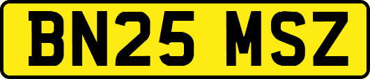 BN25MSZ
