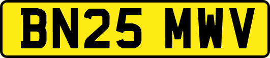 BN25MWV