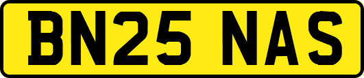 BN25NAS