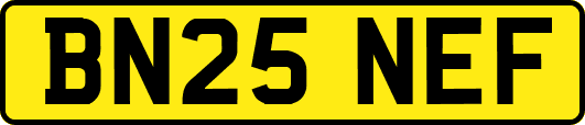BN25NEF