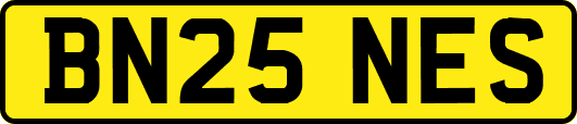 BN25NES