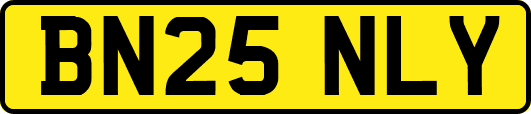 BN25NLY