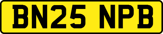 BN25NPB