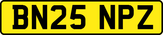 BN25NPZ